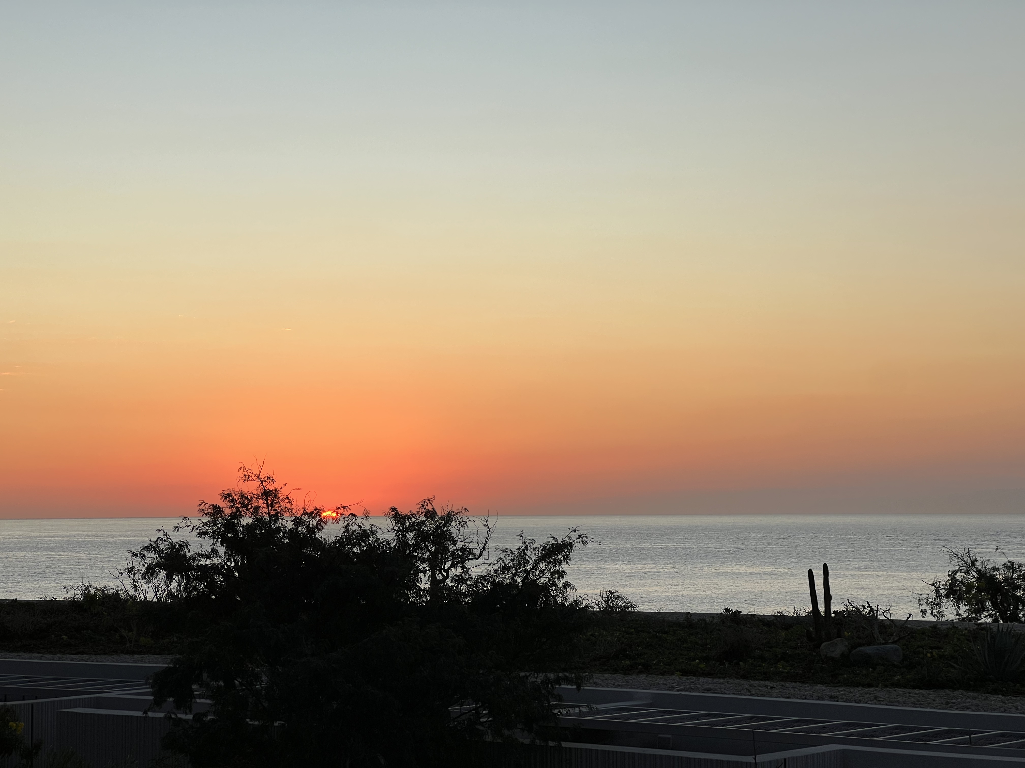 ./2024/13 - Cabo/IMG_4926.jpg